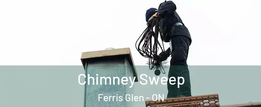  Chimney Sweep Ferris Glen - ON