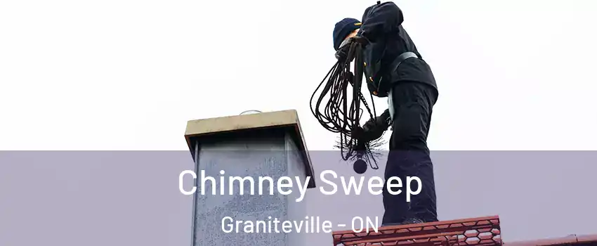  Chimney Sweep Graniteville - ON