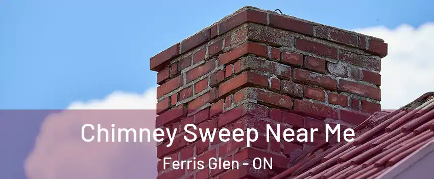 Chimney Sweep Near Me Ferris Glen - ON