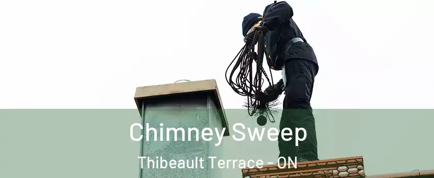  Chimney Sweep Thibeault Terrace - ON