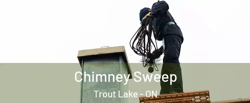  Chimney Sweep Trout Lake - ON