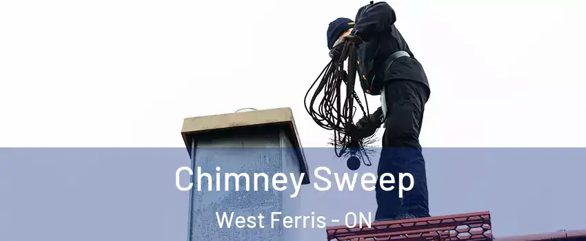  Chimney Sweep West Ferris - ON