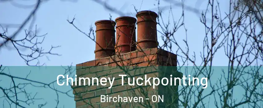 Chimney Tuckpointing Birchaven - ON