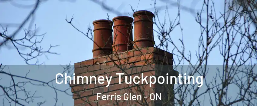  Chimney Tuckpointing Ferris Glen - ON