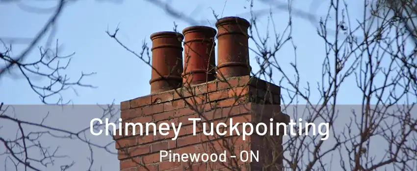  Chimney Tuckpointing Pinewood - ON