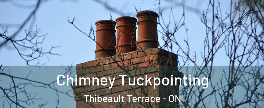  Chimney Tuckpointing Thibeault Terrace - ON