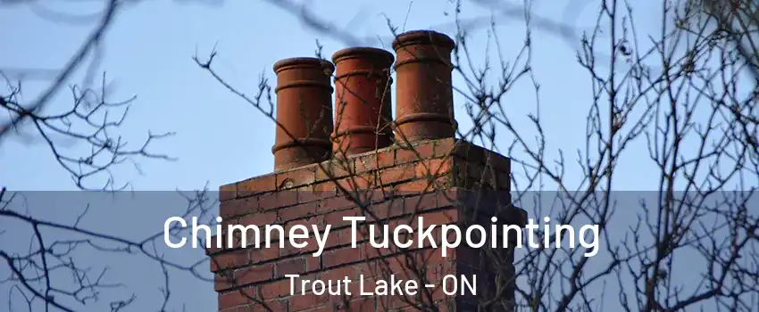  Chimney Tuckpointing Trout Lake - ON