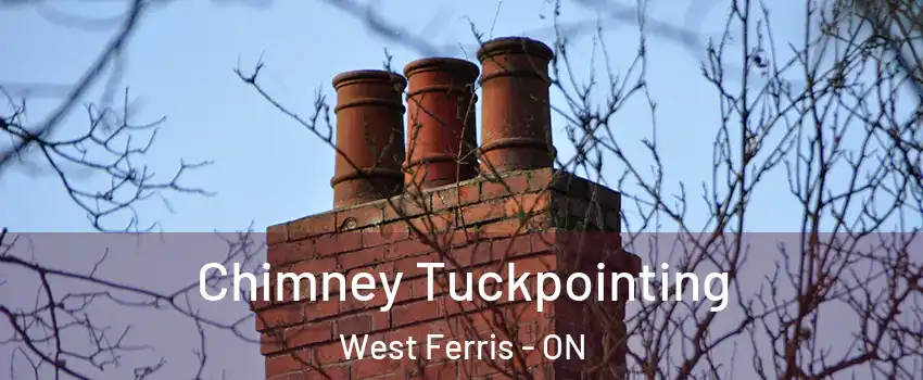  Chimney Tuckpointing West Ferris - ON