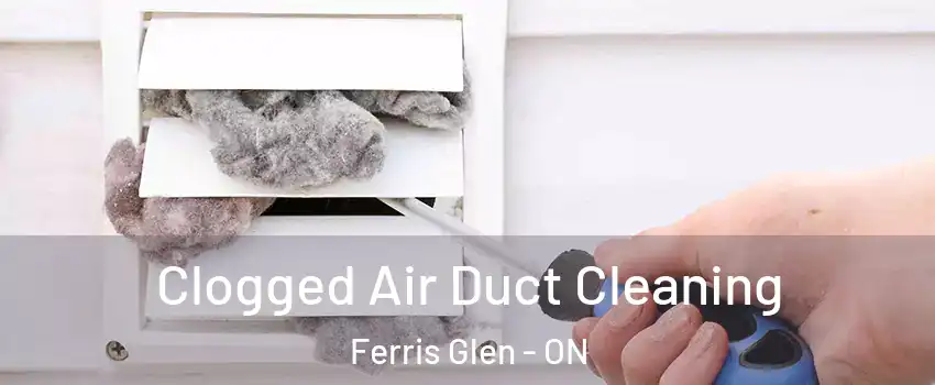  Clogged Air Duct Cleaning Ferris Glen - ON