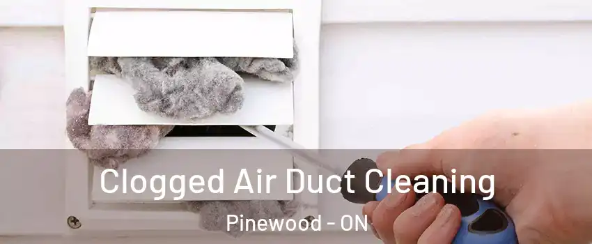  Clogged Air Duct Cleaning Pinewood - ON