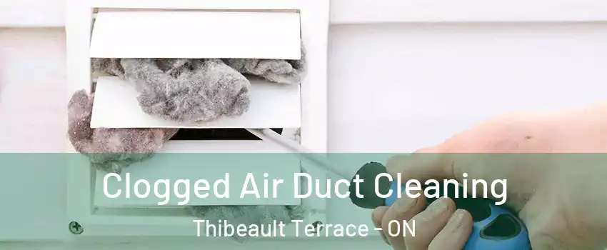  Clogged Air Duct Cleaning Thibeault Terrace - ON