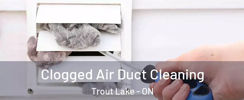  Clogged Air Duct Cleaning Trout Lake - ON