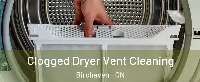  Clogged Dryer Vent Cleaning Birchaven - ON