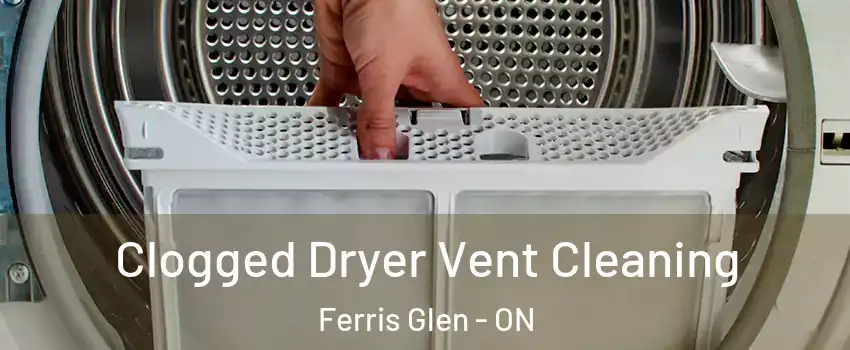  Clogged Dryer Vent Cleaning Ferris Glen - ON