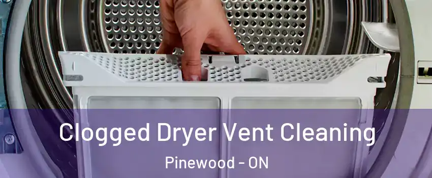  Clogged Dryer Vent Cleaning Pinewood - ON