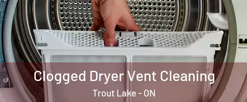  Clogged Dryer Vent Cleaning Trout Lake - ON
