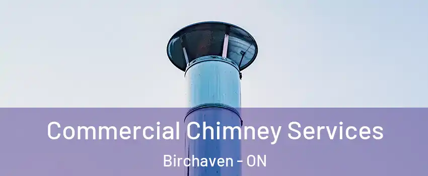  Commercial Chimney Services Birchaven - ON