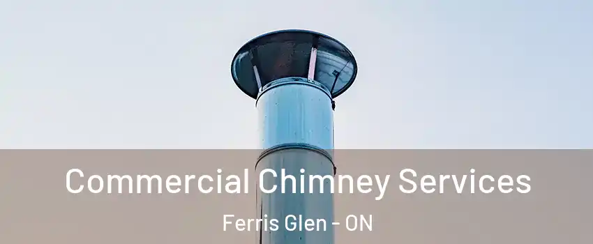  Commercial Chimney Services Ferris Glen - ON