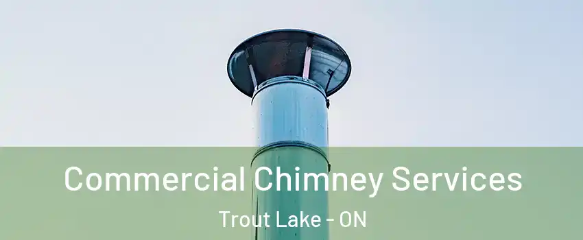  Commercial Chimney Services Trout Lake - ON