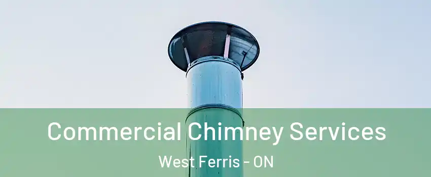  Commercial Chimney Services West Ferris - ON