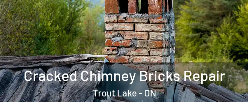  Cracked Chimney Bricks Repair Trout Lake - ON
