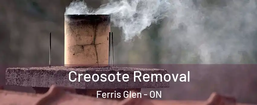  Creosote Removal Ferris Glen - ON