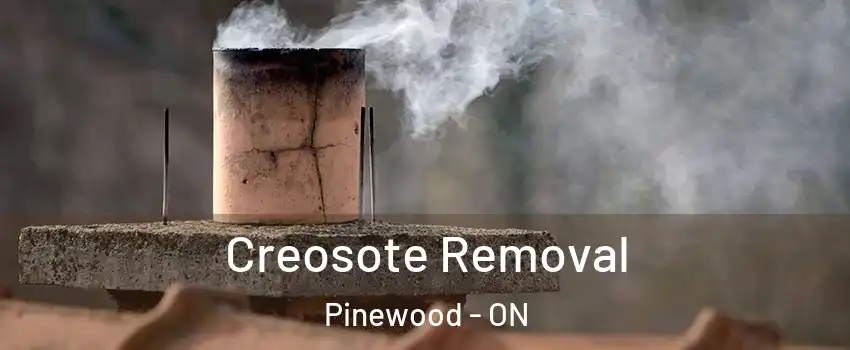  Creosote Removal Pinewood - ON