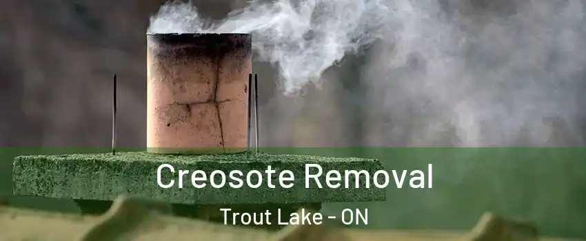  Creosote Removal Trout Lake - ON