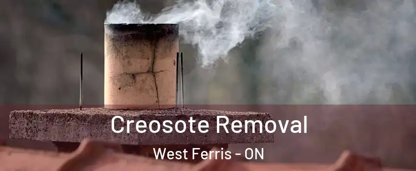  Creosote Removal West Ferris - ON
