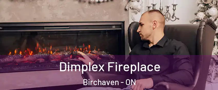  Dimplex Fireplace Birchaven - ON
