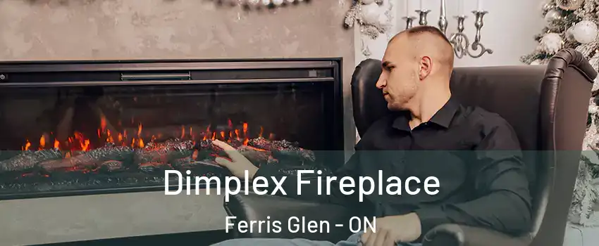  Dimplex Fireplace Ferris Glen - ON