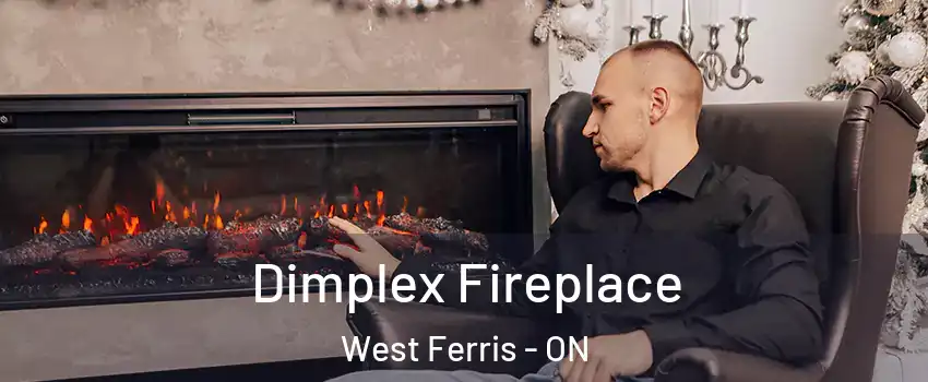  Dimplex Fireplace West Ferris - ON