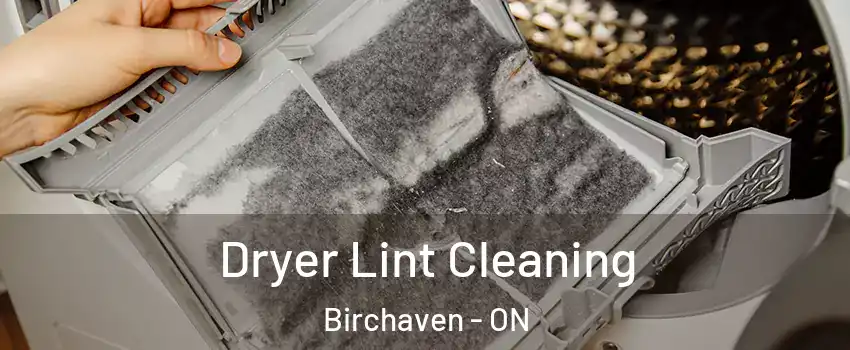  Dryer Lint Cleaning Birchaven - ON