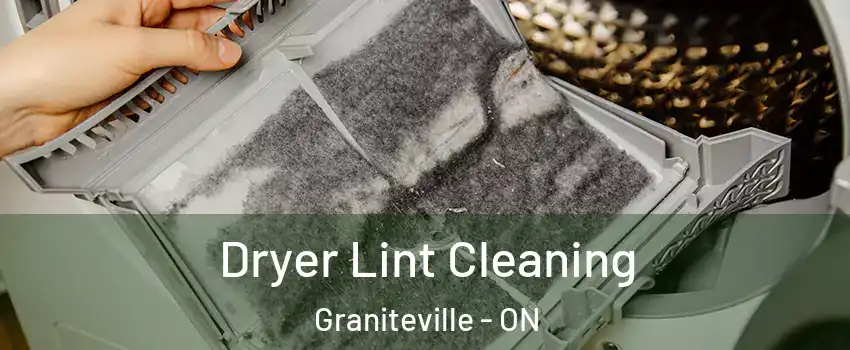  Dryer Lint Cleaning Graniteville - ON