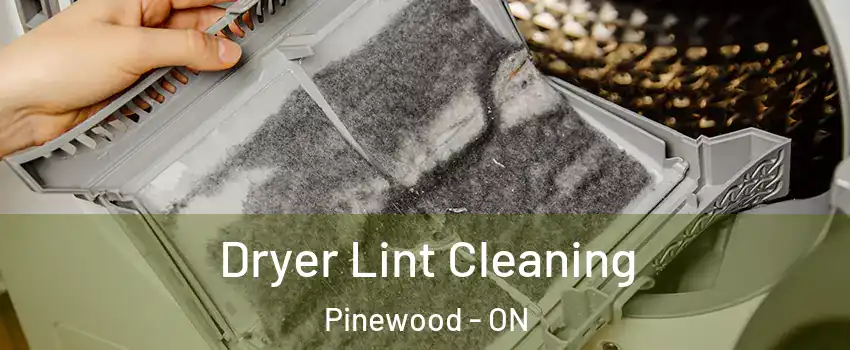  Dryer Lint Cleaning Pinewood - ON