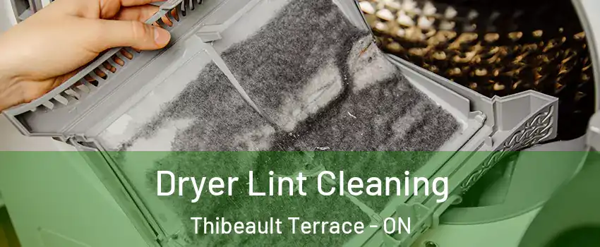  Dryer Lint Cleaning Thibeault Terrace - ON