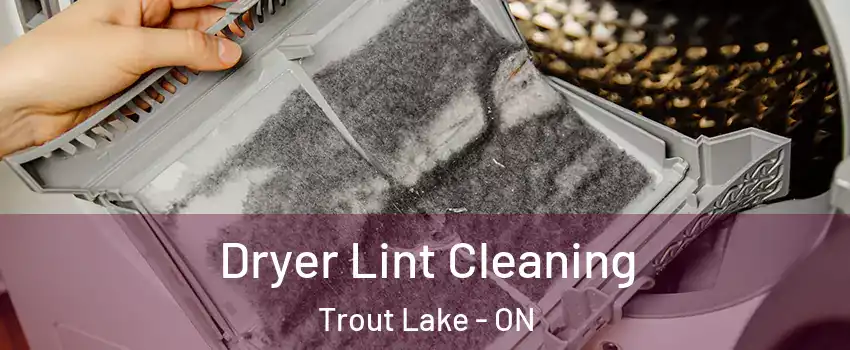  Dryer Lint Cleaning Trout Lake - ON