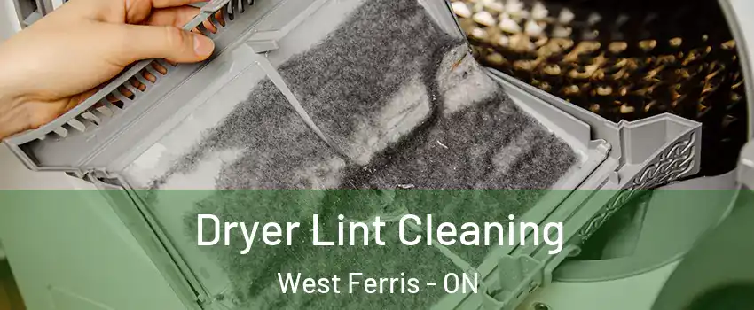  Dryer Lint Cleaning West Ferris - ON
