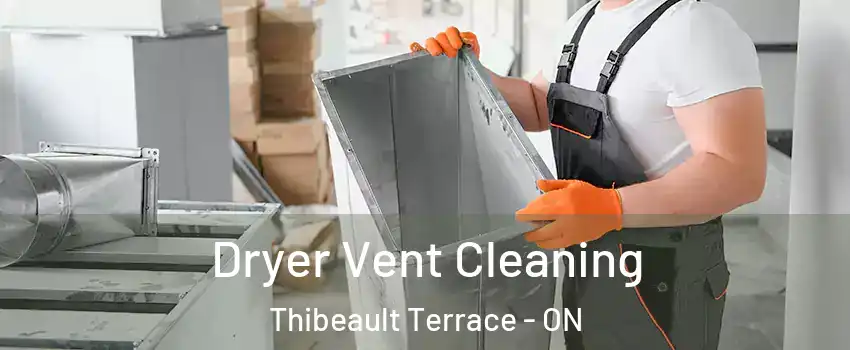  Dryer Vent Cleaning Thibeault Terrace - ON