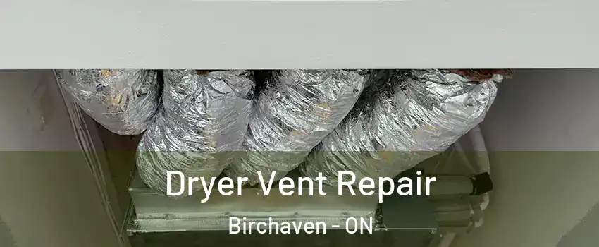  Dryer Vent Repair Birchaven - ON