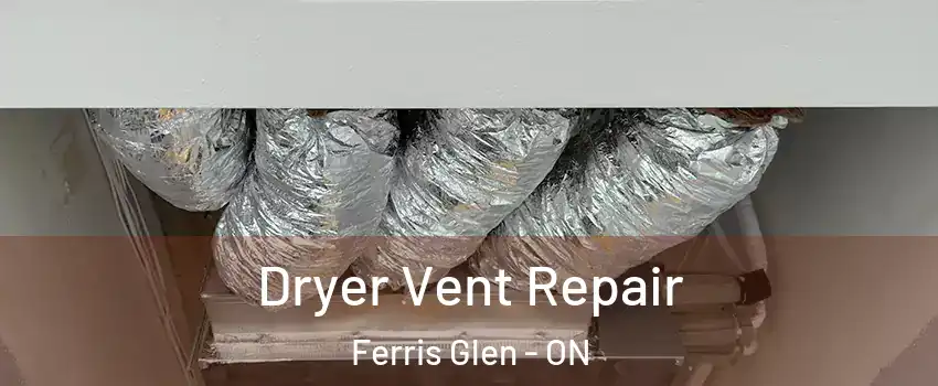  Dryer Vent Repair Ferris Glen - ON