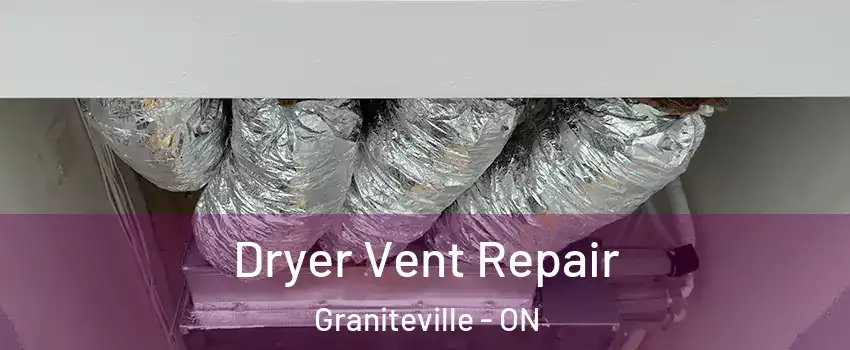 Dryer Vent Repair Graniteville - ON