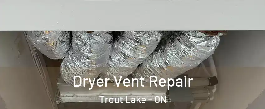  Dryer Vent Repair Trout Lake - ON