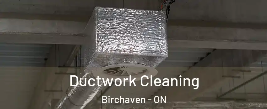  Ductwork Cleaning Birchaven - ON