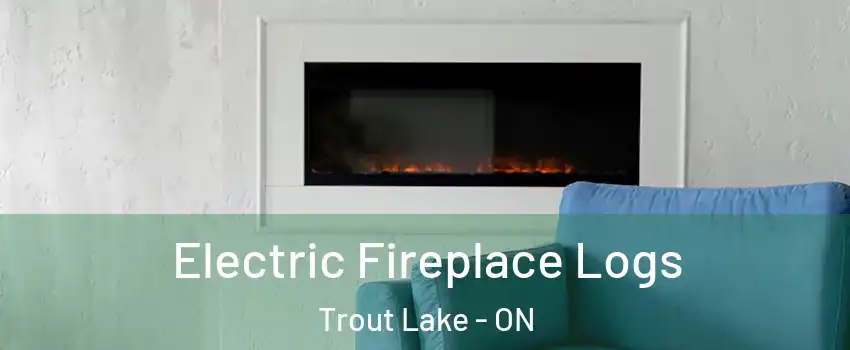  Electric Fireplace Logs Trout Lake - ON