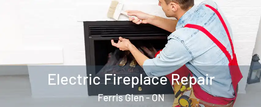  Electric Fireplace Repair Ferris Glen - ON