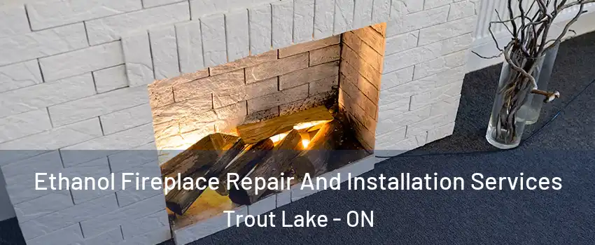  Ethanol Fireplace Repair And Installation Services Trout Lake - ON