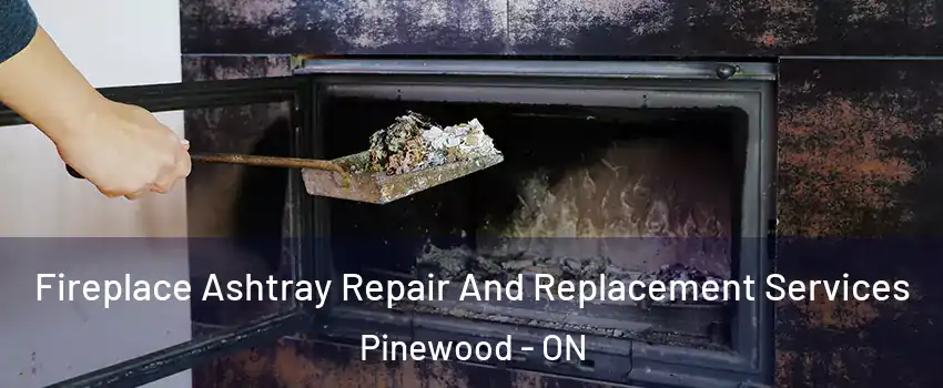  Fireplace Ashtray Repair And Replacement Services Pinewood - ON