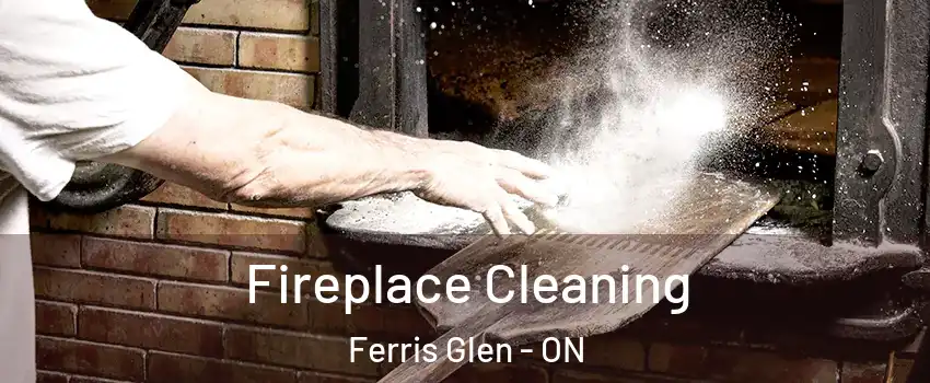  Fireplace Cleaning Ferris Glen - ON