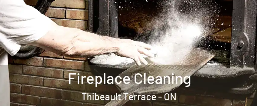  Fireplace Cleaning Thibeault Terrace - ON